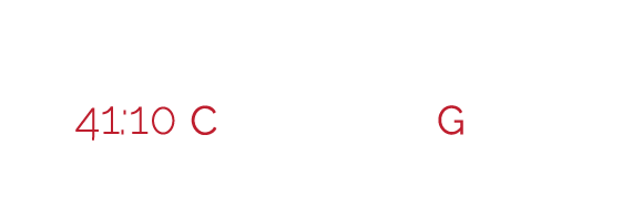 41:10 Construction Group logo